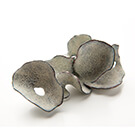 The Cominelli Foundation - kaori juzu