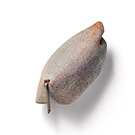 VÅRTEGN / SIGNS OF SPRING # 1 - kaori juzu